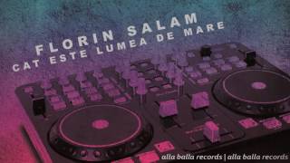 FLORIN SALAM  Cat e lumea de mare power rmx [upl. by Anuaik]