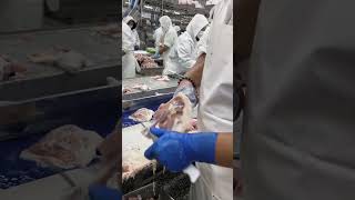 Masterful Skill in Deboning Chicken [upl. by Davilman720]