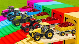 JOHN DERRE vs DEUTZ FAHR vs LAMBORGHINI vs CLAAS TRACTORS BATTLE WITH RED BEANS  FS22 [upl. by Anaher]