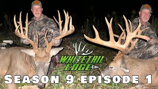 Whitetail Edge 200quot ILLINOIS GIANT WHITETAIL [upl. by Rebmit]