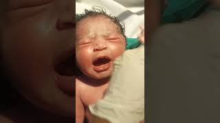 Chubby chulbul baby get massage bornebaby newbornbaby baby babycare [upl. by Golter]