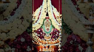 Sigandur Chowdeshwari ❤🙏 sigandur chowdeshwari devotionalsong [upl. by Hilliard]