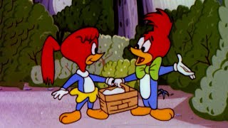 Dont Get Lost in the Woods  25 Hours of Classic Episodes of Woody Woodpecker [upl. by Pelmas436]