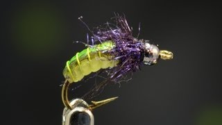 Tying a Caddis Pupa multitoned with Curtis Fry [upl. by Guenna]