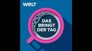 BrandenburgWahl – Der Gewinner heißt Woidke nicht SPD [upl. by Cordova]