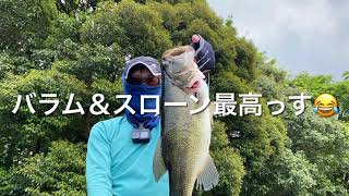 Bass fishing diary insta vol20 亀山ダム 晩春 [upl. by Jenny]