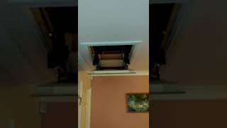 Automatic Electric Loft Ladder Installation [upl. by Illa826]