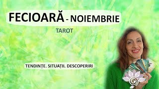 FECIOARĂ NOIEMBRIE Descoperiri amp Situații  Tarot  Zodii de PĂMÂNT  Horoscop [upl. by Laucsap]