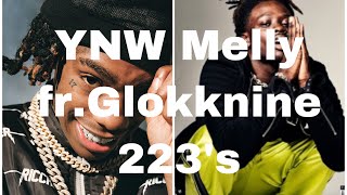 YNW Melly223’s ftGlokknineclean lyrics [upl. by Litt66]