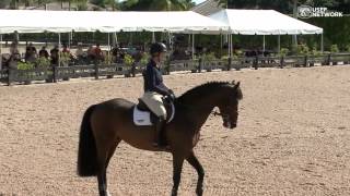 Beezie Maddens Flatwork Demonstration  Clips [upl. by Welby]