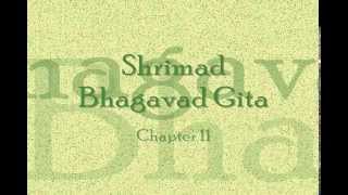 Bhagavad Gita  Chapter 11 Complete Hindi translation [upl. by Gunn]