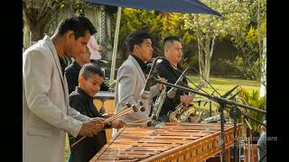 Amor mío  Marimba orquesta hermanos santos [upl. by Ion]