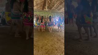 EMBERA TRIBE PANAMA INDIAN LIVE DANCE AND THEIR FOOD IS SUPER GOOD ELITEPANAMATOUR [upl. by Thane111]