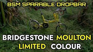 BRIDGESTONE MOULTON LIMITED COLOUR YELLOW [upl. by Retxed592]