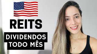 2 REITS QUE PAGAM DIVIDENDOS MENSAIS [upl. by Enninaej688]