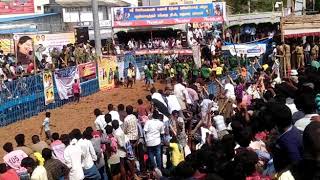 Palanganatham Jallikattu samayanallur Velai [upl. by Forrer385]