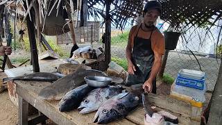 Amazing Seine Net Harvesting In The Fishing Village And Fish Cutting In The Street Fish Market [upl. by Danziger577]