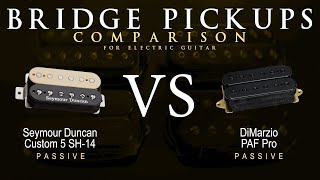 Seymour Duncan CUSTOM 5 SH14 vs DiMarzio PAF PRO  Bridge Guitar Pickup Comparison Tone Demo [upl. by Garlen571]