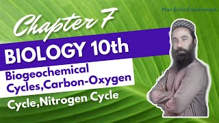 Biogeochemical Cycles  CarbonOxygen Cycle Nitrogen Cycle  Chapter 7 Biology Class 10th [upl. by Earehc]