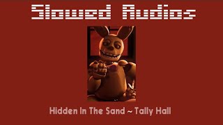 Hidden In The Sand  Tally Hall  Slowed and Echoed [upl. by Rieth]