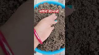 मिट्टी से प्यार है gardeng ytshorts gardenplants viralvideo lalbhaji [upl. by Jacquelyn648]