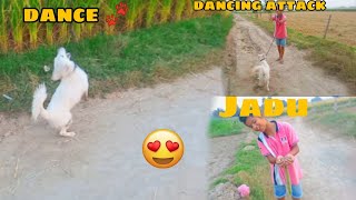 jimmy ne dance Kiya shan dar giya 🔥  jimmy dance Karan lag Piya 😄  jadu ho giya  newvlog [upl. by Sokil]