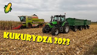 KUKURYDZA 2023🌽KOSIMY BRUCE LEE💪OPOROWO🔥Agro Dniówka 363 [upl. by Alletsirhc]