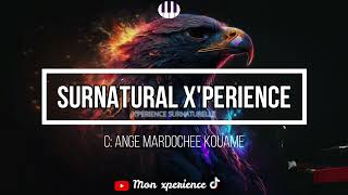 1 HEURE XPERIENCE SURNATURELLE INSTRUMENTAL  SURNATURAL XPERIENCE DEEPER  INSTRUMENTAL [upl. by Avlasor]