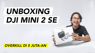 DJI Mini 2  Complete Guide to Return To Home RTH [upl. by Ginni329]