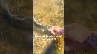 This lady man 😆 fyp foryou fishing fish bass bassfishing video viral bassfishingismylife [upl. by Natika]