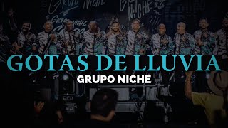 Gotas De Lluvia  GRUPO NICHE LetraLyrics salsa [upl. by Calley788]