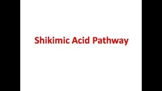 Shikimic Acid Pathway [upl. by Adiaros]