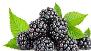 The blackberries from the blackberry bush without spines they are ripe [upl. by Jilleen]