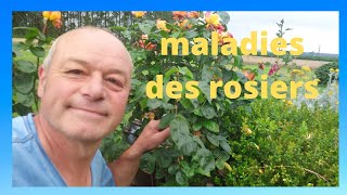 Rosiers malades et vignes qui moisit  le remède [upl. by Ltihcox]