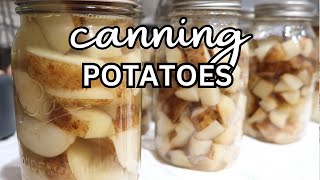 Canning Potatoes  Pressure Canning  Dry Packing  Homestead Kitchen  New Skills [upl. by Newman]