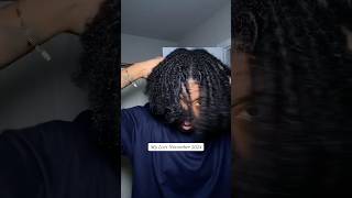 Loc Journey 🍃 My locs November 2023 vs November 2024 locs locgrowth locjourney dreadlocks [upl. by Bette-Ann]