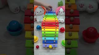 Colored Xylophone🐶🌈 xylophone [upl. by Assirrak]