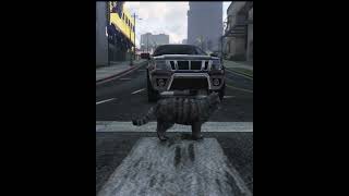 gta gtaonlinehumor game cat [upl. by Tellford112]