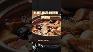 Power Up with PlantBased Proteins Top Sources and Benefits [upl. by Enram]