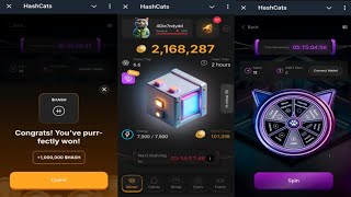 HashCats  New Feature Helps You Earn More HASH Coins Faster  Come Join Me  Telegram Crypto Bot [upl. by Notsahc190]