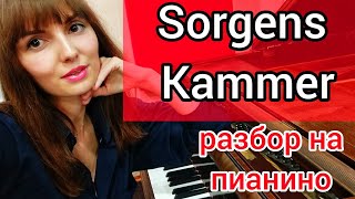 Sorgens Kammer Dimmu Borgir РАЗБОР на ПИАНИНОУроки фортепиано для взрослых [upl. by Horvitz]