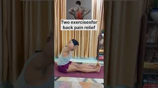 back stretching exercises  back workout at home  back pain treatment back pain reliefyogaposes [upl. by Hetty180]