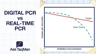 Digital PCR vs Realtime PCR  Ask TaqMan 30 [upl. by Rubin927]