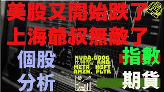 美股又跌了，上海爺叔封神！！機會在哪裡？NVDASOXLAMDPLTRAAPLAMZNMSFTMETAGOOG [upl. by Ayoras]