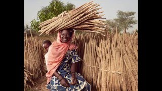 Portraits of African Women [upl. by Eniger]