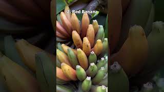 Top 5 Strangest Banana Varieties shorts [upl. by Avat]