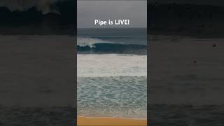 🚨Pipe is LIVE Head over to our channel to watch the late season WNW Swell [upl. by Tish943]