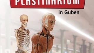 PLASTINARIUM in GUBEN 01 [upl. by Enrobyalc557]