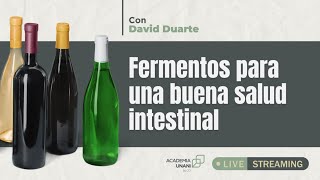 FERMENTOS PARA UNA BUENA SALUD INTESTINAL [upl. by Allemat]