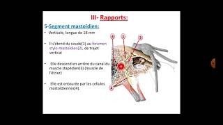 Anatomie du nerf facial [upl. by Jepum]